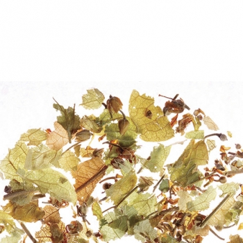Japanese Linden чай ALTHAUS