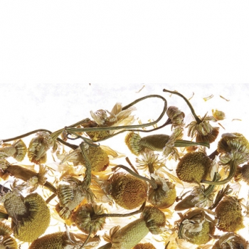 Chamomile Meadow чай ALTHAUS